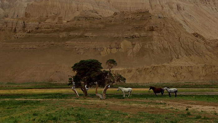 亞克力制品,上海亞克力加工廠