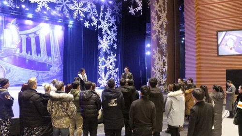 文藝創作與表演融合，冰雪奇緣大型舞臺劇全國巡演首站洛陽圓滿成功